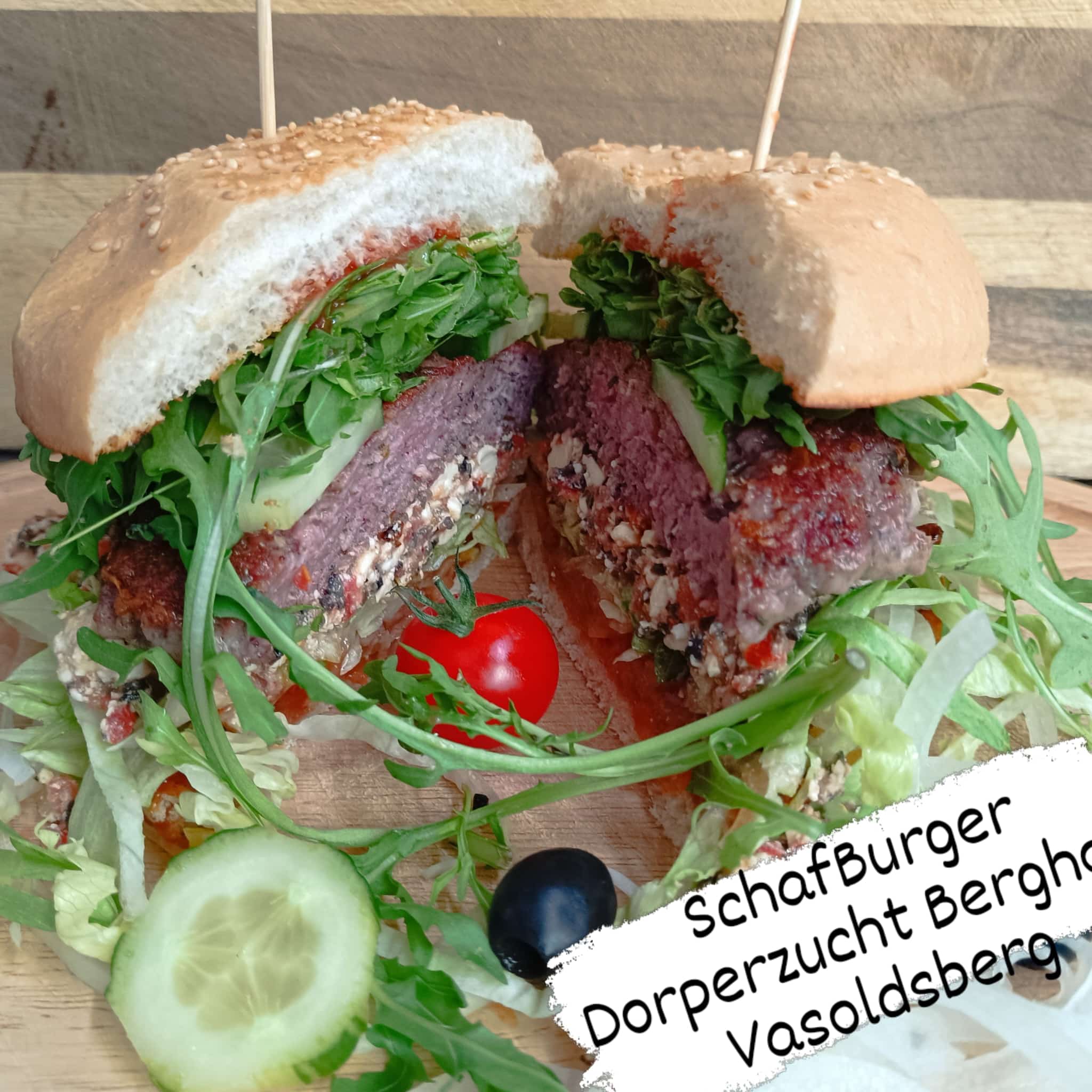 Der Schafburger